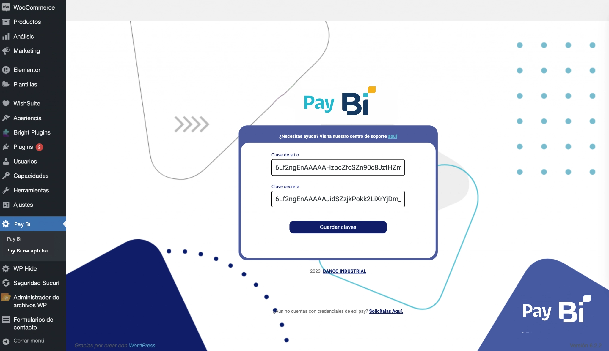 17.-Ingresar-claves-en-pay-bi-reCAPTCHA