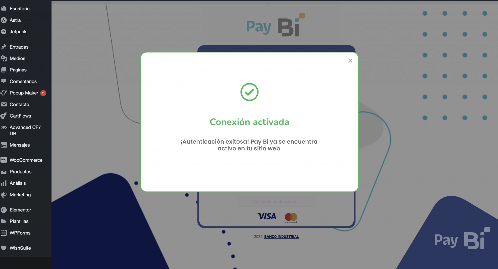 7.-Conexion-activada-pay-bi