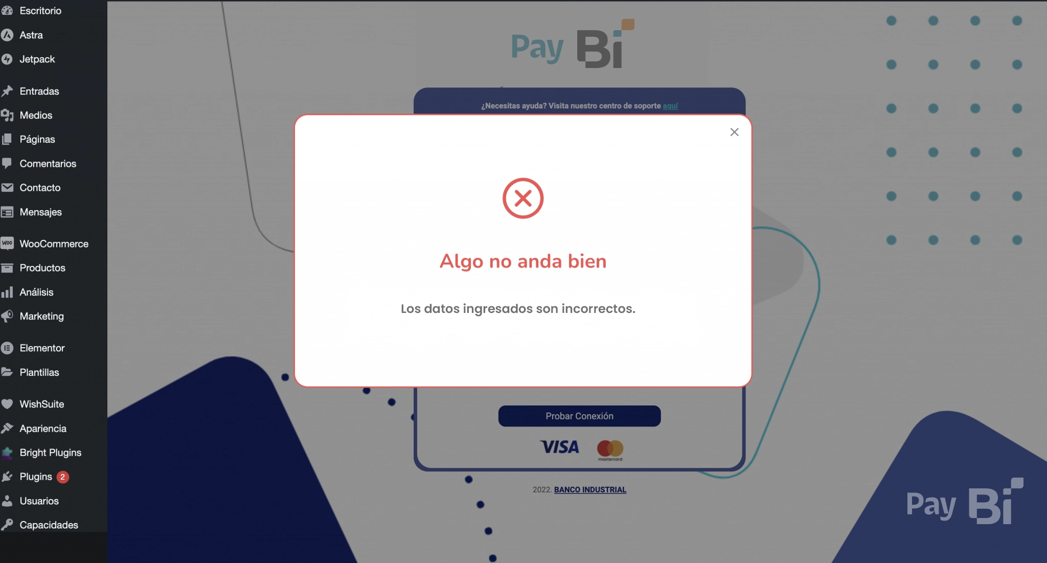 8.-Error-en-conexion-pay-bi